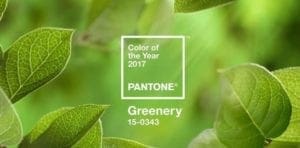 2017 Pantone Color of the Year