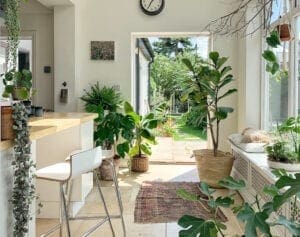 How to properly add plants both inside and outside your home