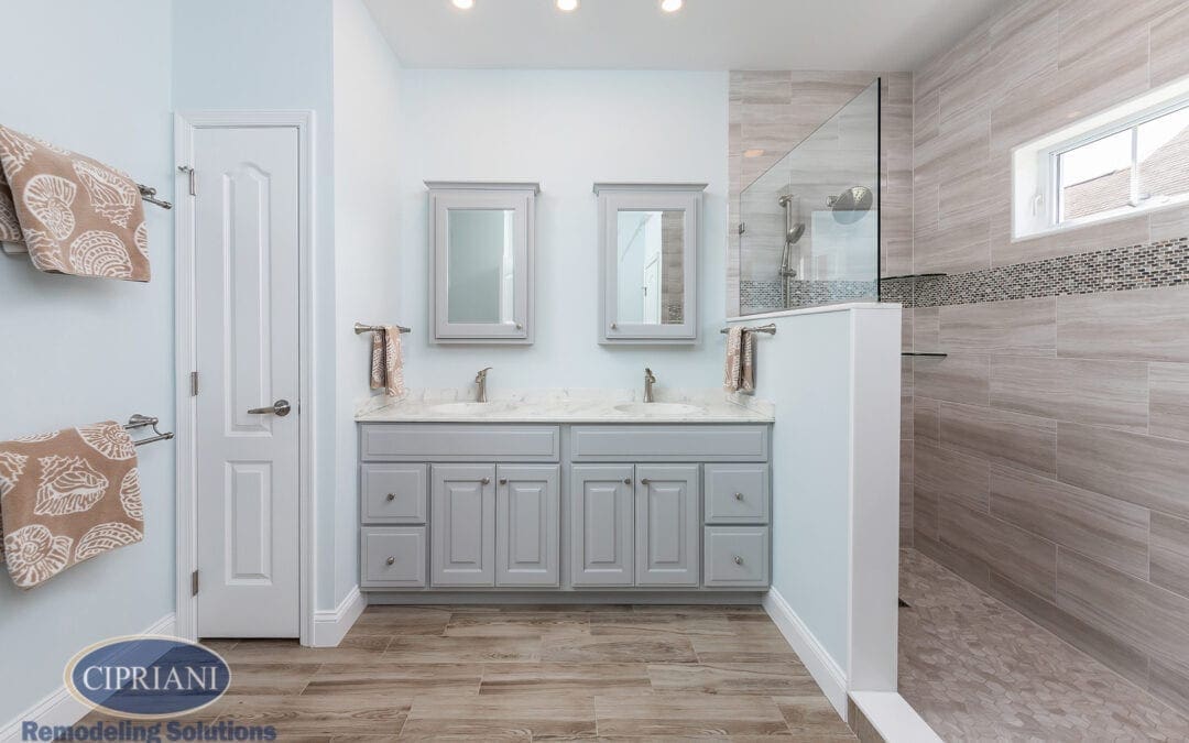 Effortless Elegance | West Deptford Bathroom Remodel
