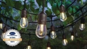 20 Products to Improve Your Outdoor Space