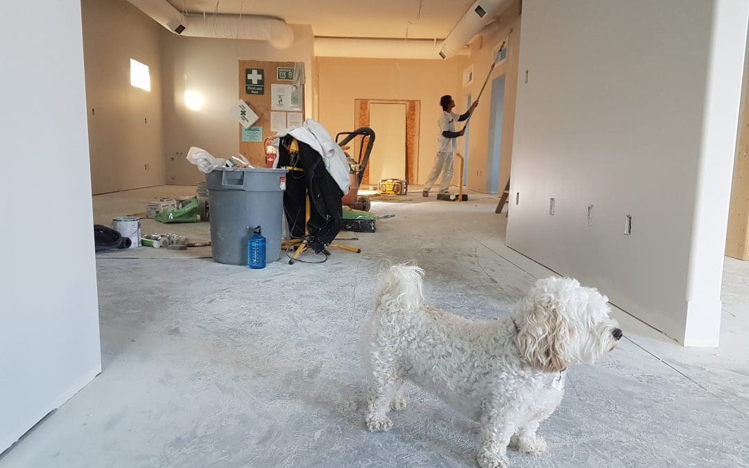 remodeling mistakes to avoid
