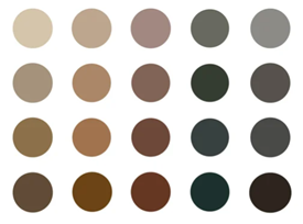 dark academia - colors dark academia – colors