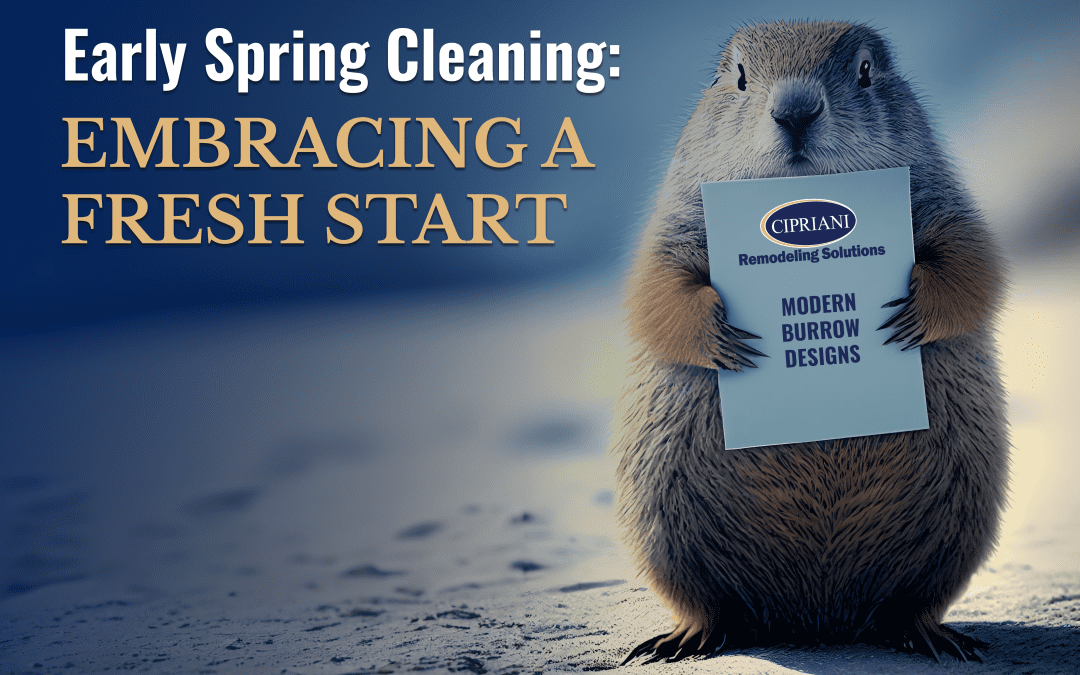 Early Spring Cleaning: Embracing a Fresh Start