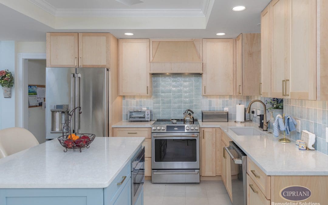 Sophisticated Expansion | Haddonfield Home Addition