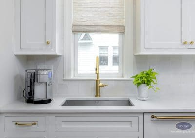 Bright kitchen sink area with gold faucet, white cabinets, and potted plant.