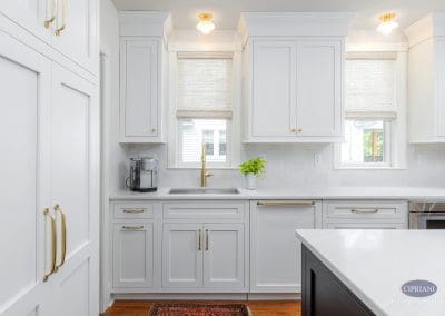 Bright kitchen sink wall with white cabinetry, gold hardware, and natural light from two windows.