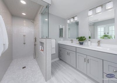 Modern bathroom with walk-in shower and gray double vanity.
