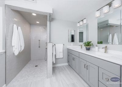 Bright gray bathroom with walk-in shower and long double vanity.