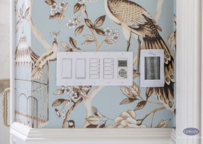 Smart lighting controls and thermostat set against blue chinoiserie wallpaper in Mullica Hill bathroom