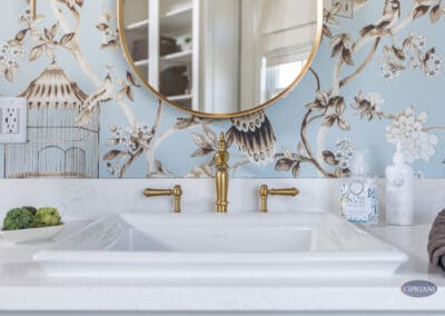 White bathroom vanity sink with brass faucet and blue chinoiserie wallpaper in Mullica Hill remodel